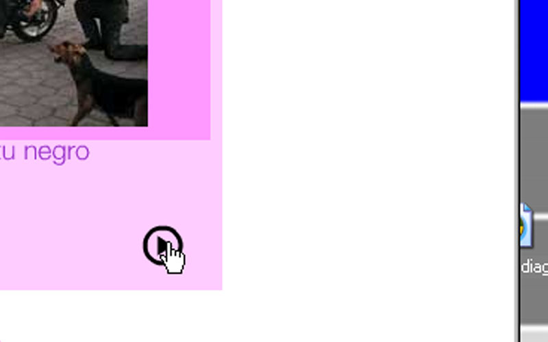 navegacion-detalles_0120_experimentos culturales